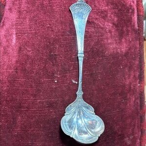 Elegant Silver Ladle